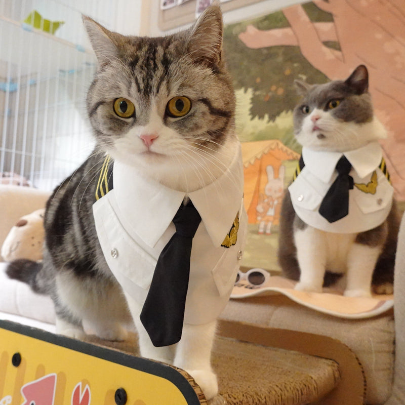 Pet Cat Neck Handsome Air Junior Uniform