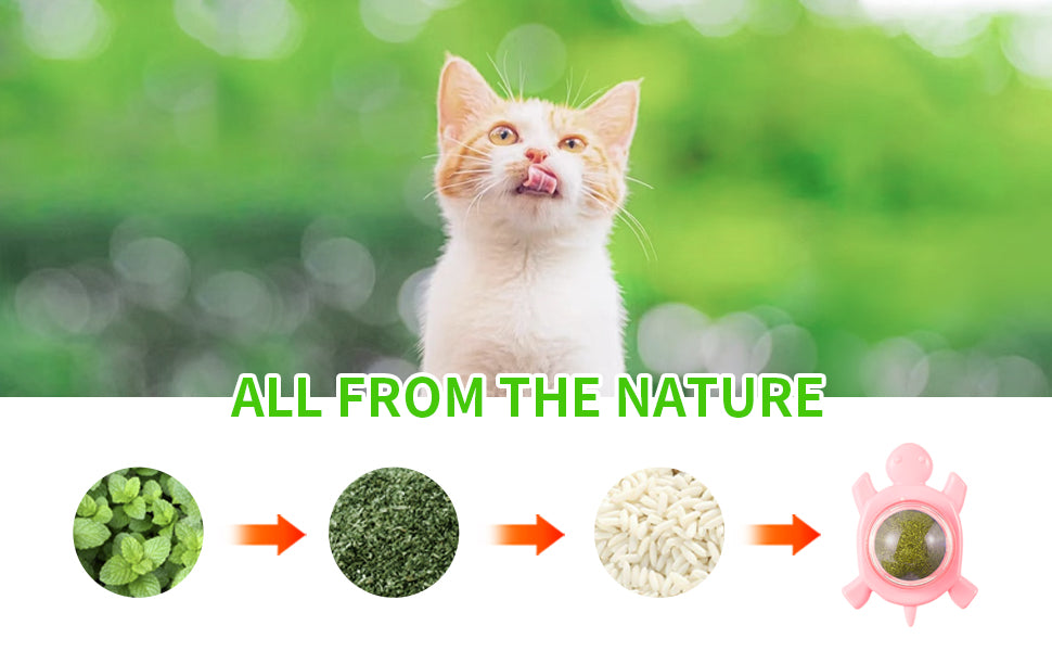Catnip Ball Catnip Balls for Cats Wall Silvervine for Cats Piece Silvervine Catnip Cat Toys for Indoor Cats Edible...