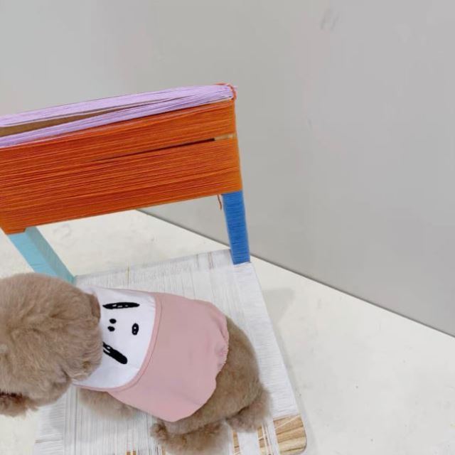 Thin Spring And Autumn Fashion Dog Clothes