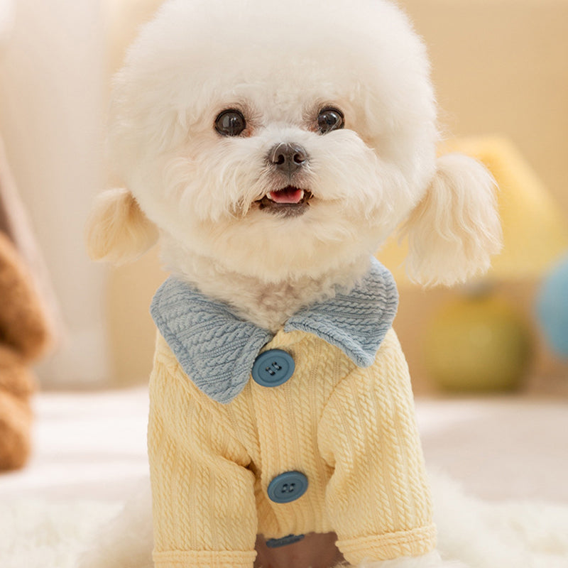 Autumn and Winter Dog, Small and Medium-Sized Dog, Cute Puppy, Color-Block Base Shirt, Cat Two-Legged Shirt, Teddy...