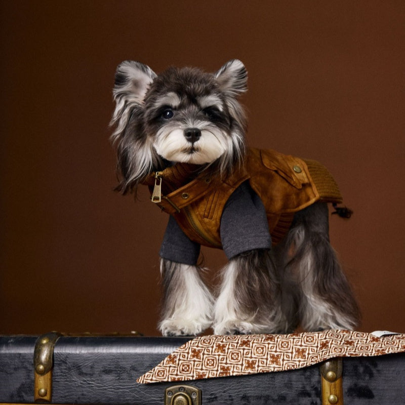 Schnauzer Teddy Bichon VIP Mid-Ancient Handsome Retro Sleeveless Leather Waistcoat - Pet Clothing