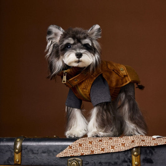 Schnauzer Teddy Bichon VIP Mid-Ancient Handsome Retro Sleeveless Leather Waistcoat - Pet Clothing