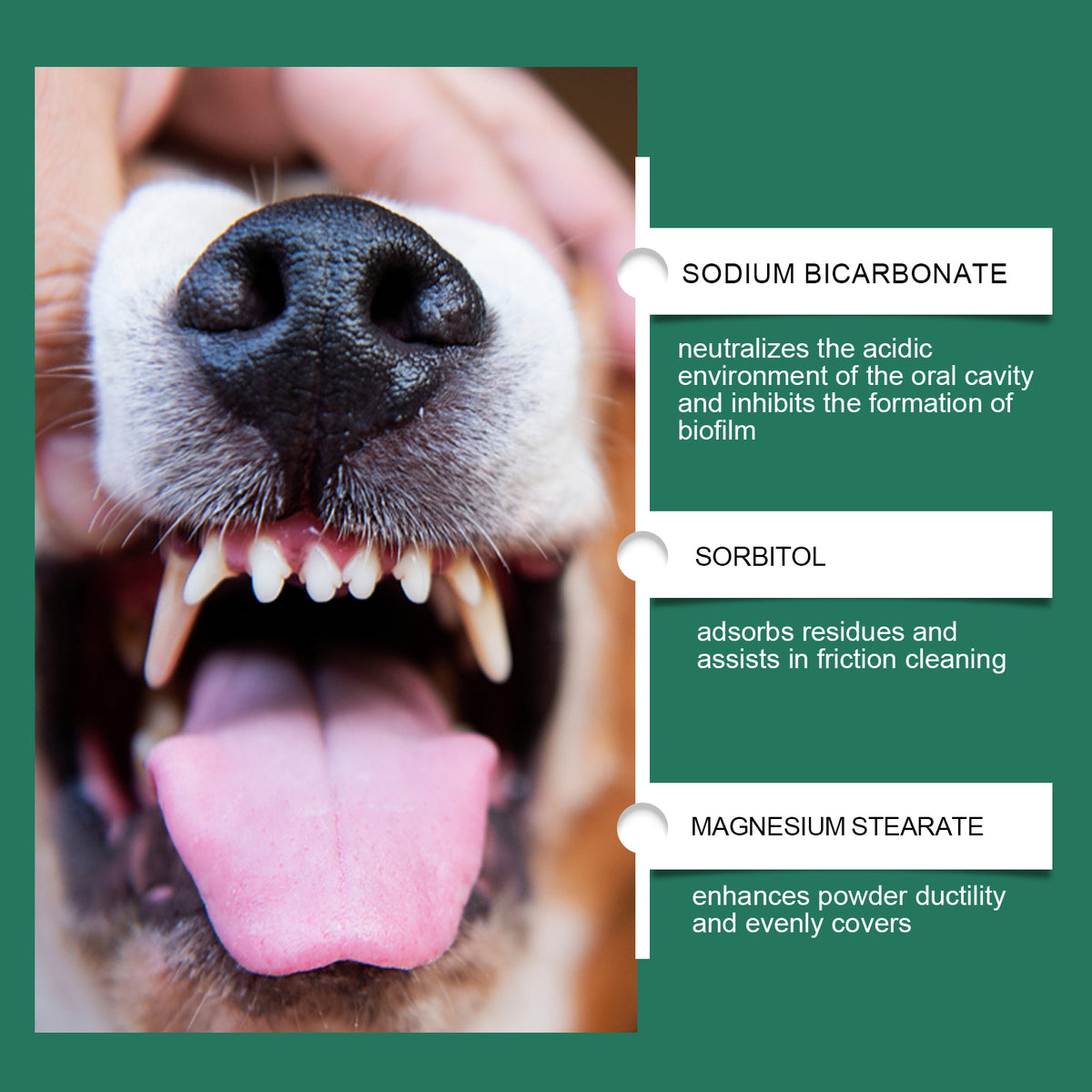 Dog Tooth Cleaning Powder