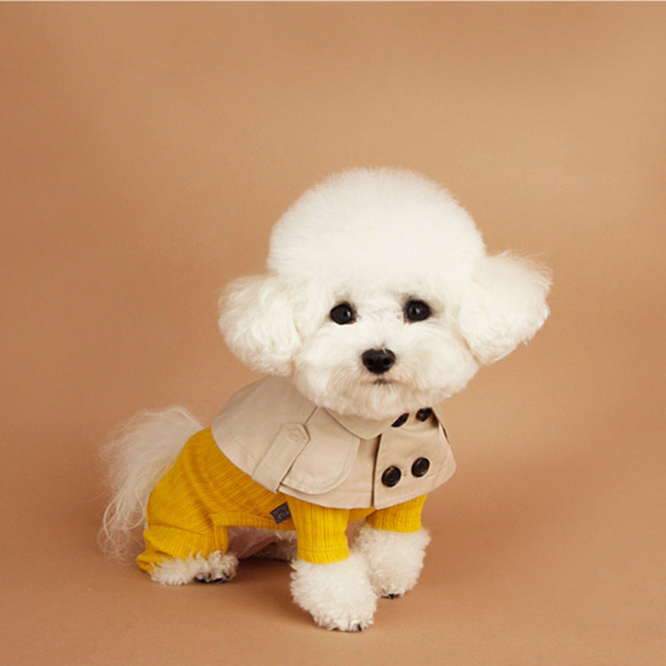 Dog collar beige British style pet