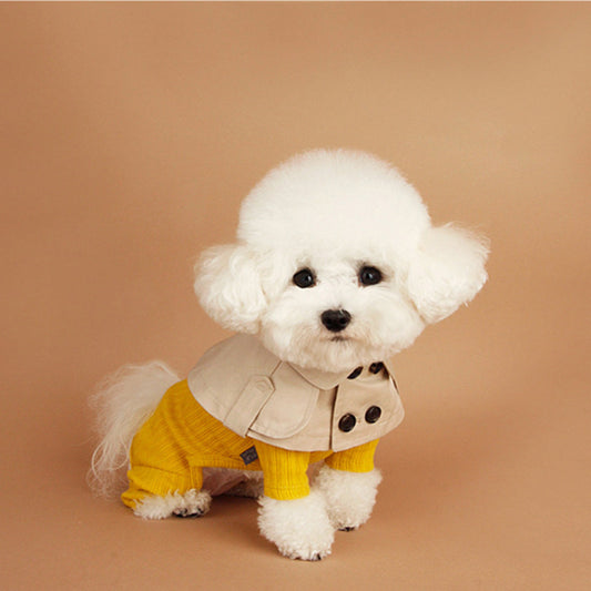 Dog collar beige British style pet