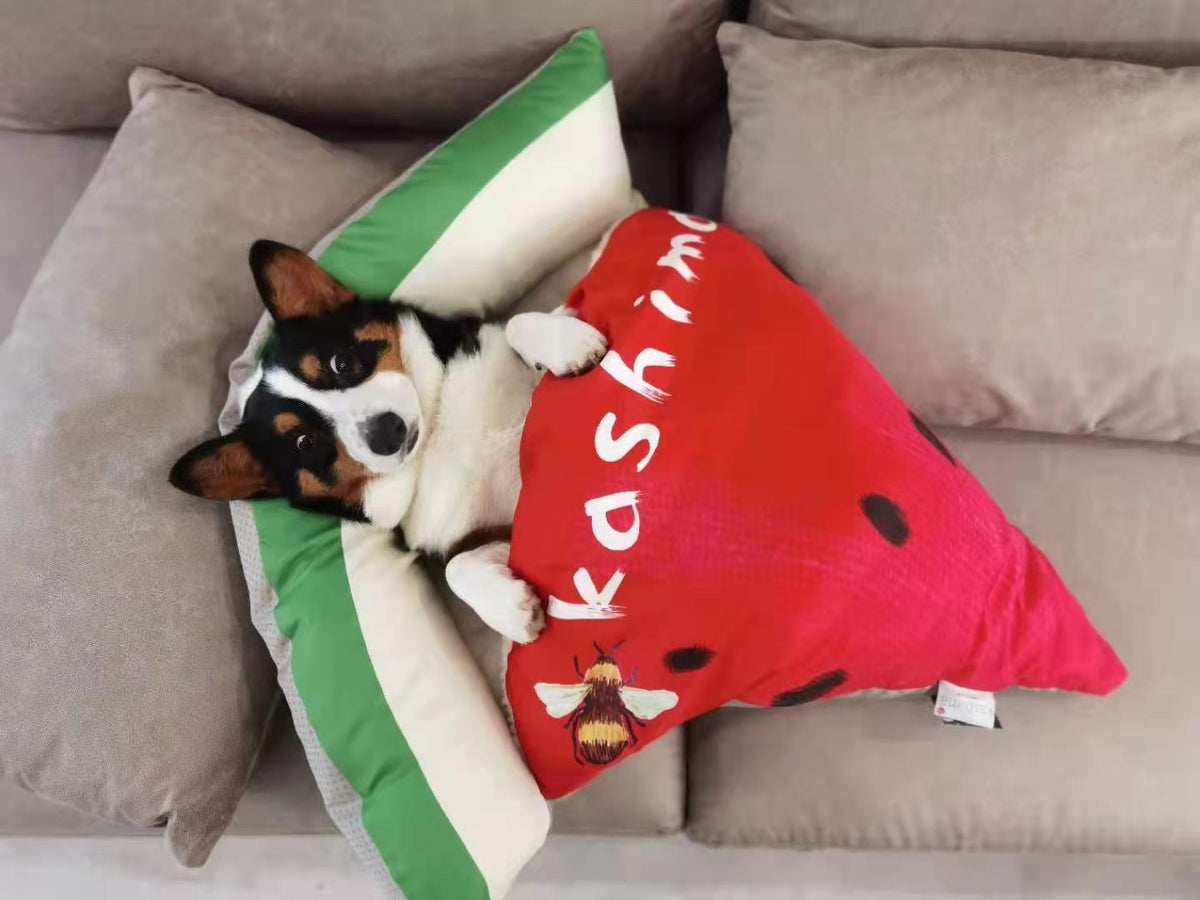 Pet Cute Pizza Nest Cat Dog Four Seasons