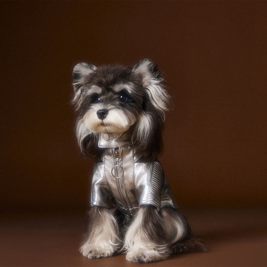 Teddy Schnauzer Bichon Handsome Distressed Silver Leather Coat - Pet Clothing