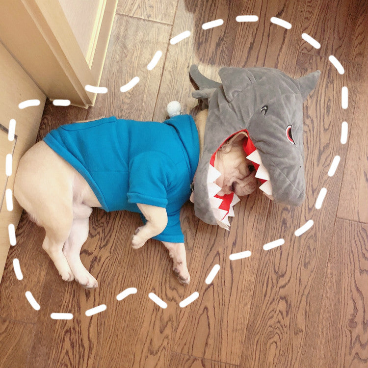 Take a Photo Into a Hat - Pet Clothing