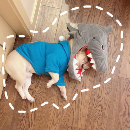 Take a Photo Into a Hat - Pet Clothing