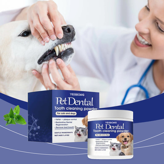 Pet Teeth Cleaning And Stain Removal