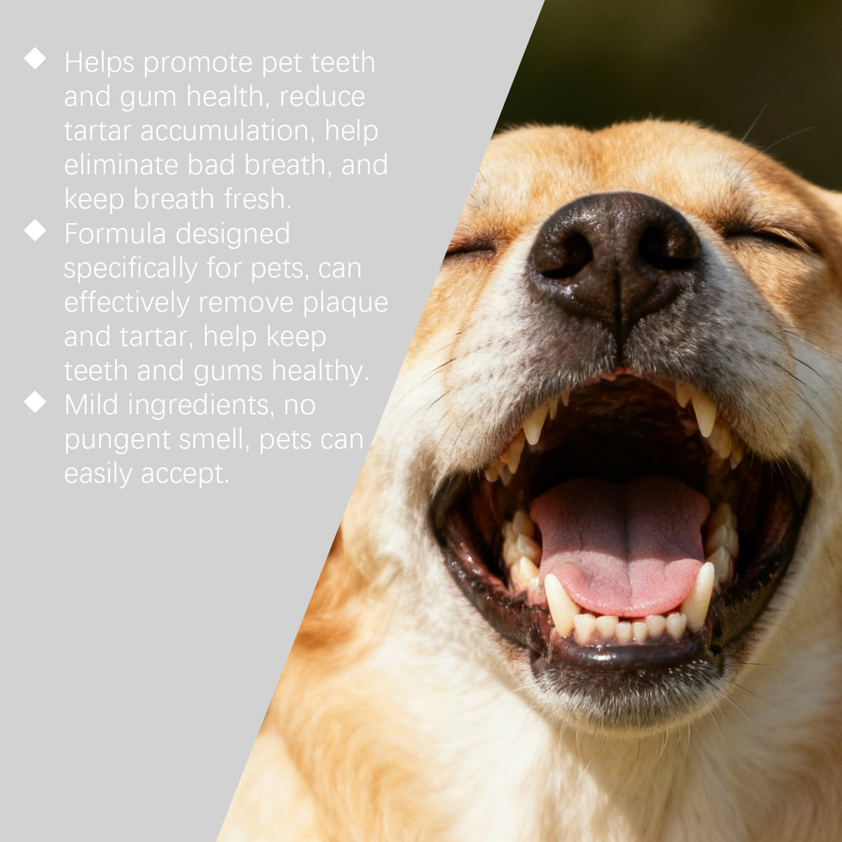 Dog Tooth Spray