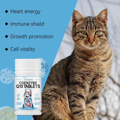 Daily Coenzyme Q10 Tablets For Cats