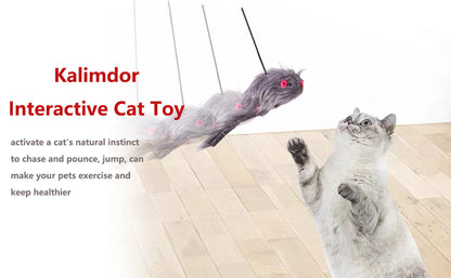 Interactive Cat Feather Toys Retractable Teaser Toy Hanging Interactive Toys For Indoor Cats Kitten Play Chase Exercise Kitten Mental Exercise Toys