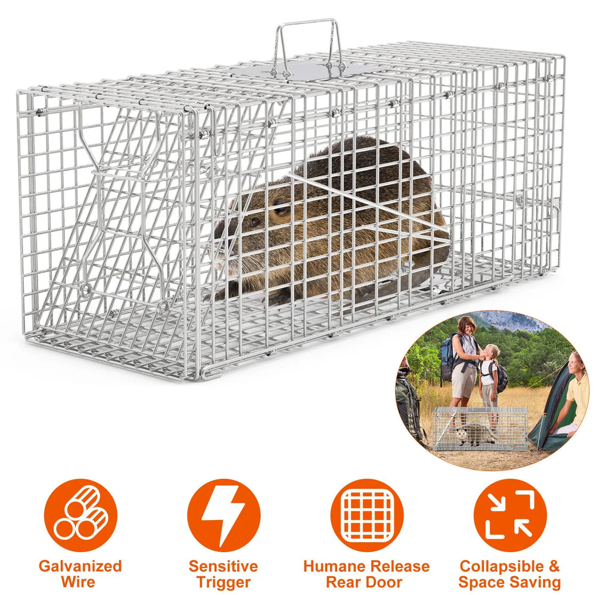 Humane Animal Trap Cage (30.51x11.02x11.81in) - Galvanized Sturdy Wire Mesh, Sensitive Trigger & Dual Doors, Handle...