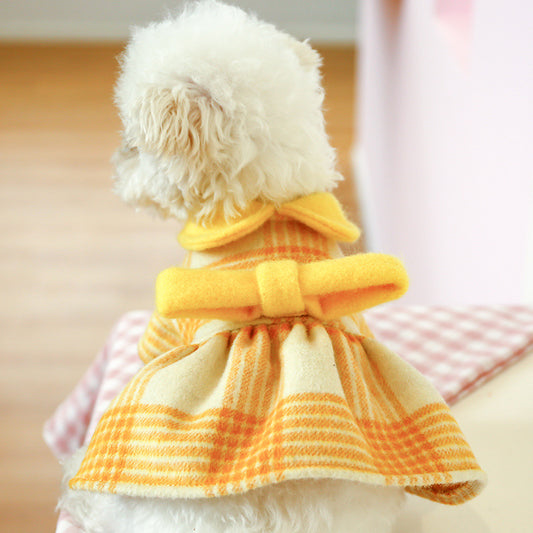 Dogs Keep Warm In Autumn And Winter