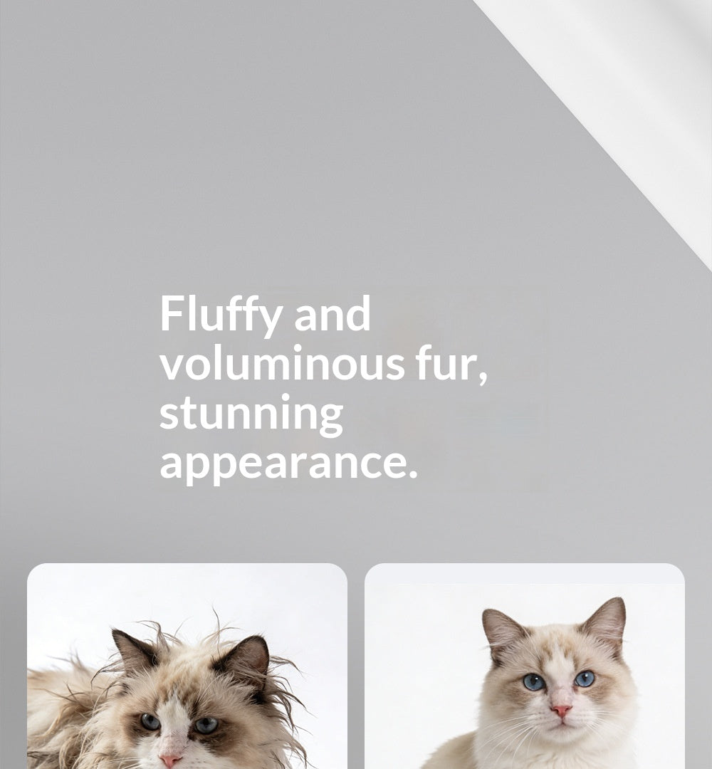 Stainless Steel Needle Hair Removal And Deshedding Comb For Pet Cats