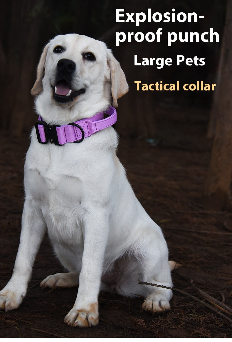 Tactical Collar Nylon Pet Release Buckle Outdoor Collar