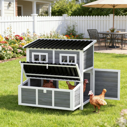 Chicken Coop