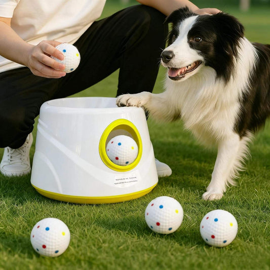 Dog Automatic Ball Launcher With 3 Balls Pet Ball Thrower Interactive Game