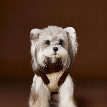 Tony Bear Dog Clothes Lapel Dog Head Sweater
