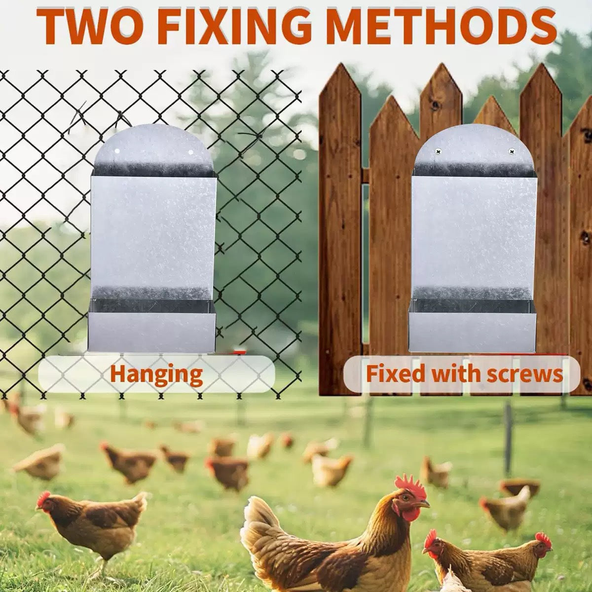 Poultry Feeding Metal Trough Chicken Parrot Bird Small Animal Feeder