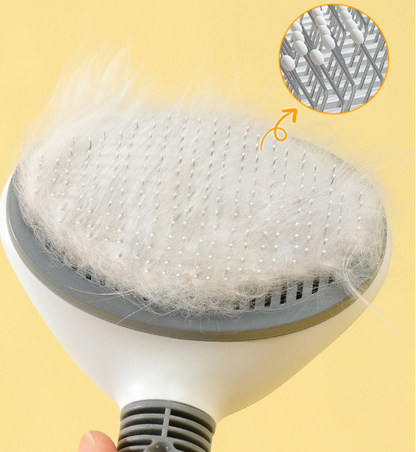 Pet Hair Removal Comb Design