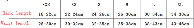 Pet Printed Underwear Physiological Pants