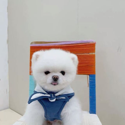 Thin Spring And Autumn Fashion Dog Clothes