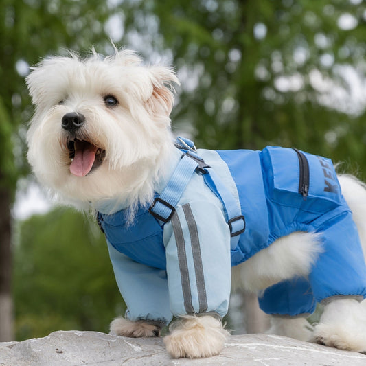 Autumn and Winter Dog, Small and Medium-Sized Dog Teddy Outdoor Windproof, Waterproof, Three-Proof Raincoat,...