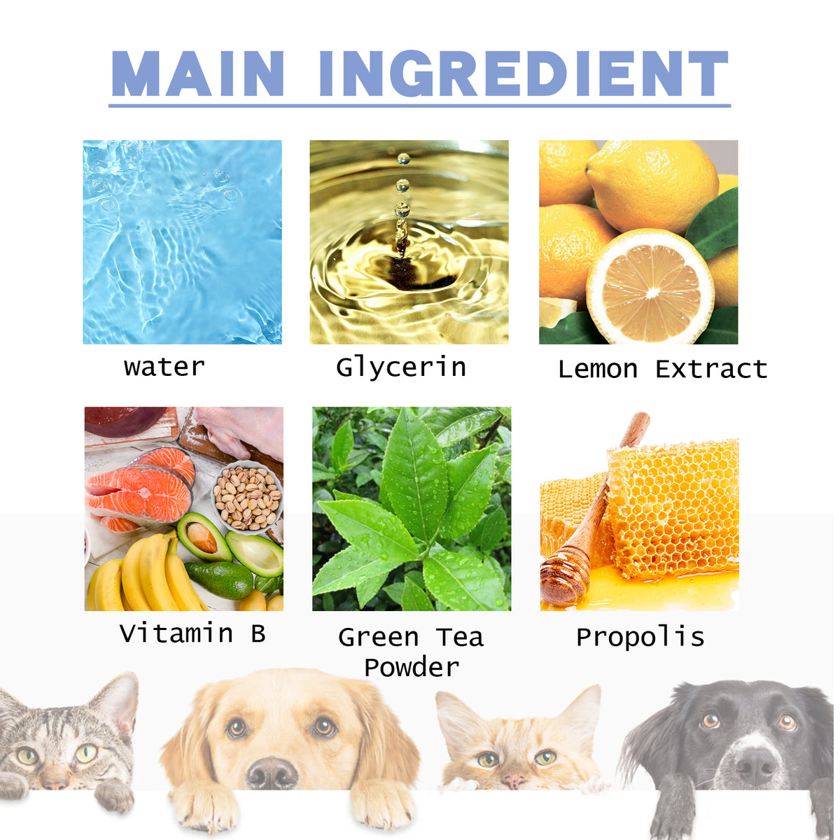 Pet Cleaning Toothpaste 1 0 0ml-box