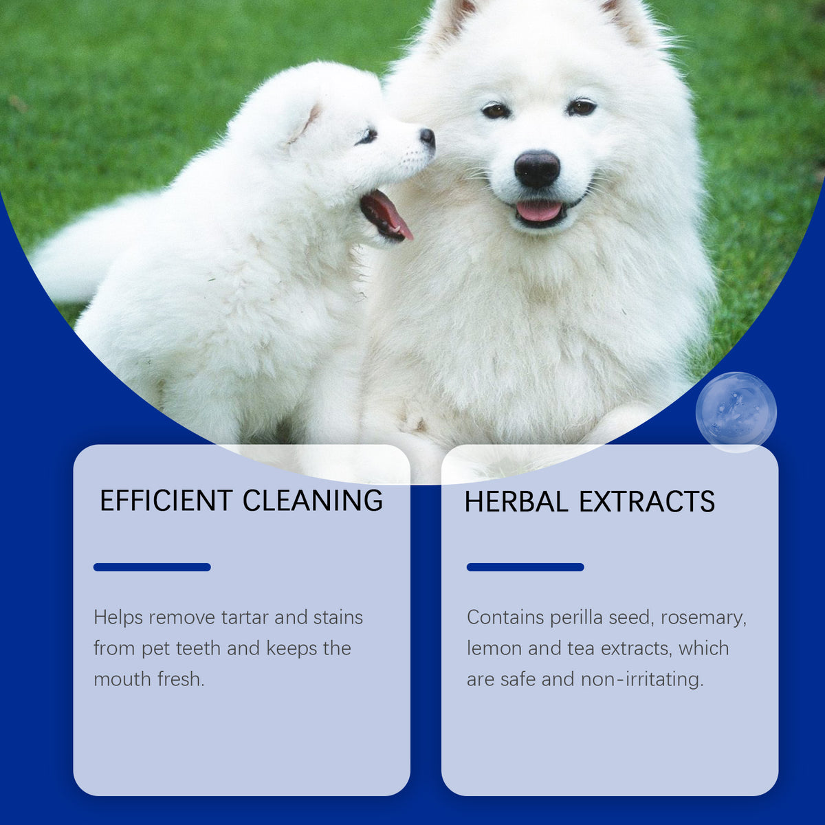 Dog Tooth Cleaning Powder