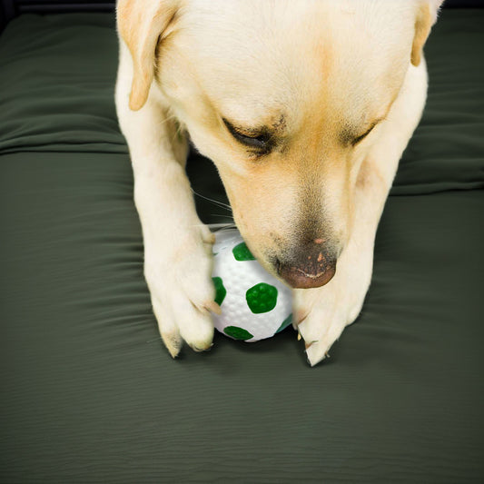 LaTeX Pet The Toy Dog Latex High Elastic Ball