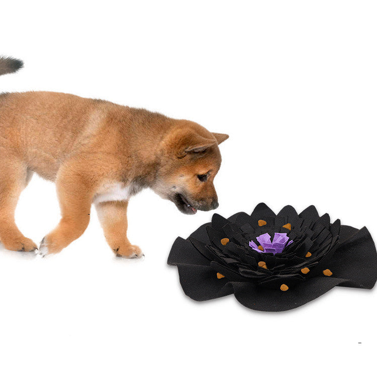 Pet sniffing pad