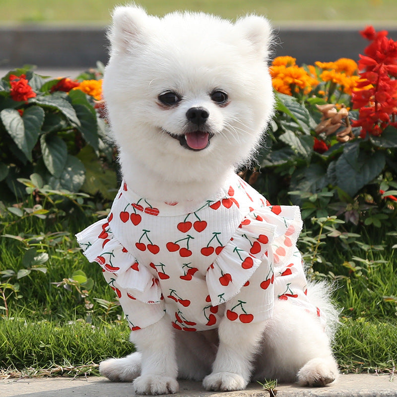 Personality Dog Bottoming Shirt Coat