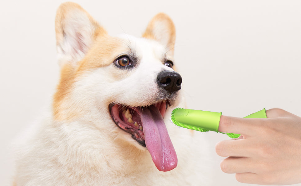 Toothbrush For Dog Finger Toothbrush Kit  135 Surround Bristles For Easy Teeth Cleaning  Double Finger Toothbrush Dental Care For Puppies  Cats And Small Pets