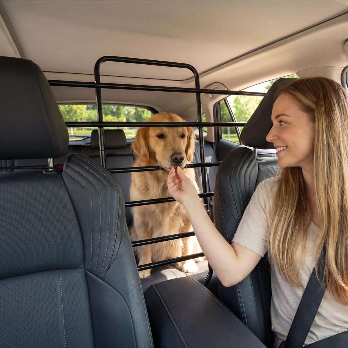 Dog Car Barrier,Easy To Assemble And Install Dog Car Barriers Fits Well In Various Vehicles Adjustable With Seat Movements Recycled Materials