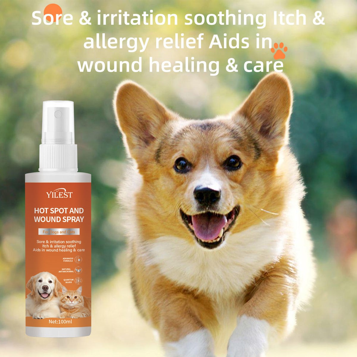 Spray Drive Away Internal And External Long-lasting Spray To Prevent Dogs And Cats Nibbling