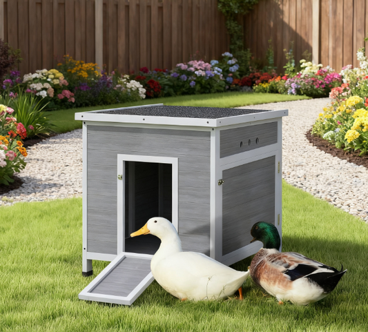 Wooden With Openable Roof Cage, Removable Floor, Double Doors
