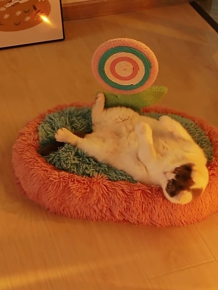 Thick And Warm Plush Nest For Cats Elliptical Lollipop For Deep Sleep Can Be Disassembled And Washed Winter Supplies
