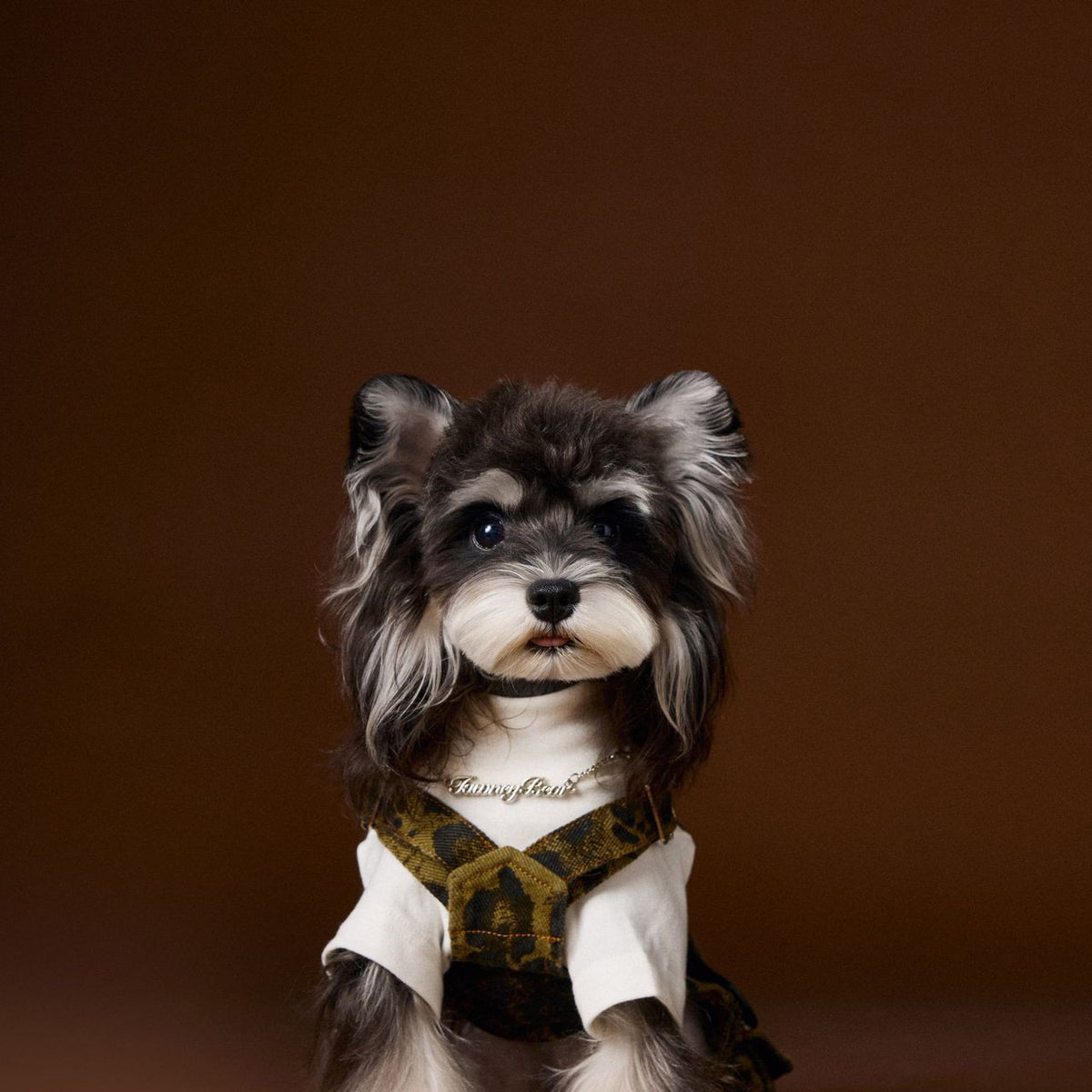 Dog Clothes Autumn Leopard Print Overalls