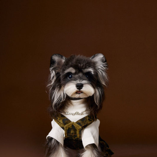 Dog Clothes Autumn Leopard Print Overalls