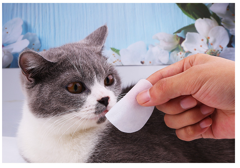 Wet wipes for cats to remove tear marks