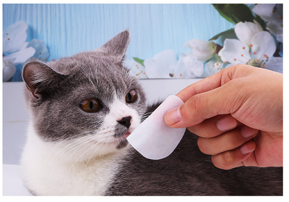 Wet wipes for cats to remove tear marks