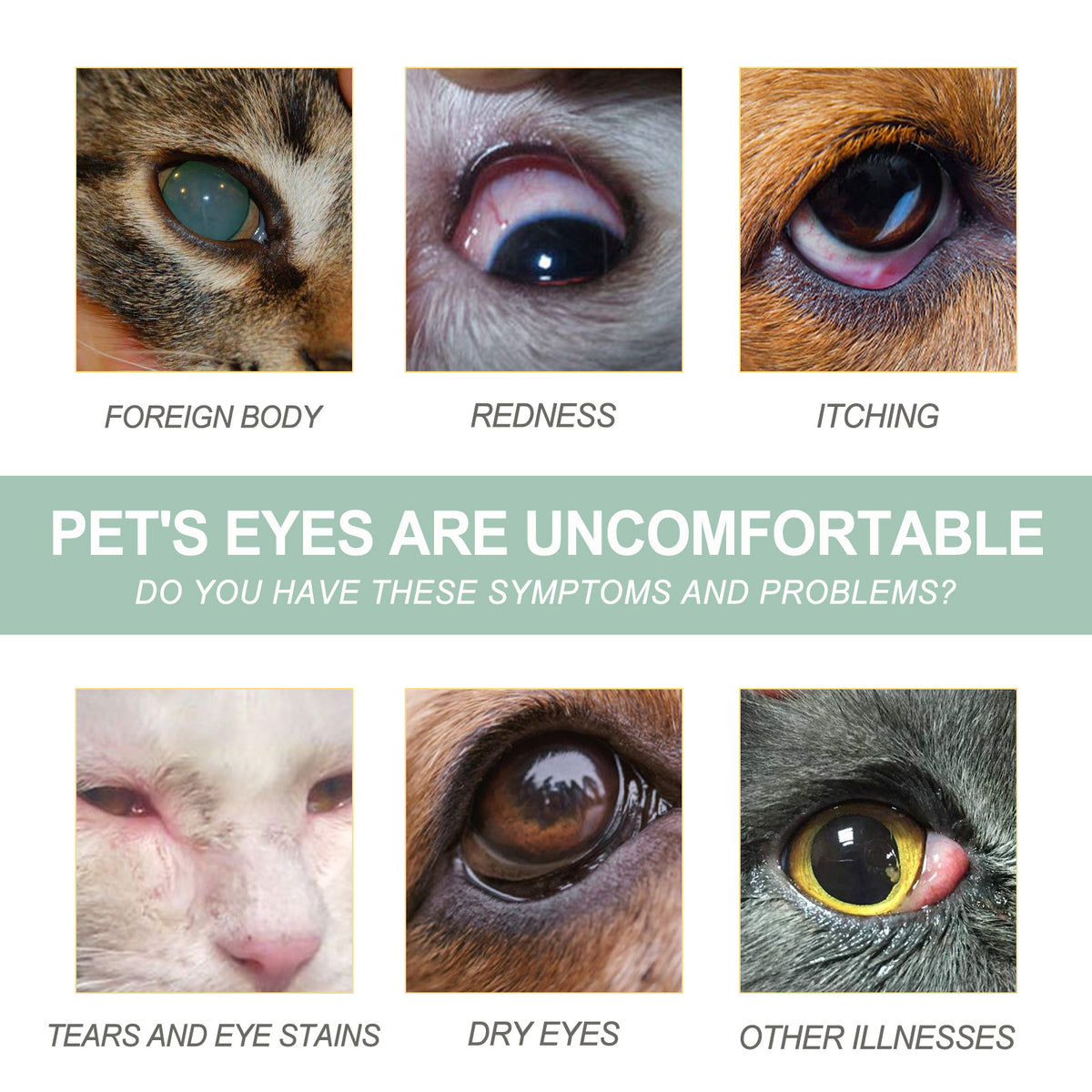 Pet Eye Drops For Dogs & Cats, Gentle Eye Cleaner With Honeysuckle Oil & Blueberry Extract, Soothes Irritation, Tear Stain Remover For Pet Daily Eye Care