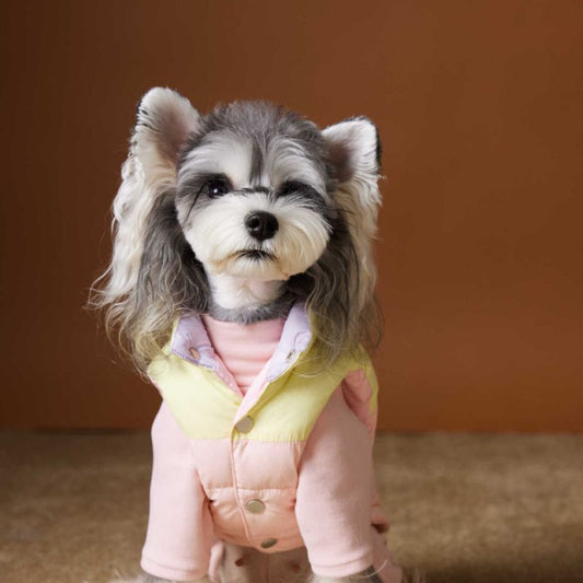 Pet Dog Autumn And Winter Down Vest Teddy Schnauzer Bichon