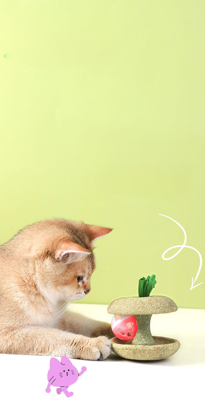 Pet Cat Catnip Toys Edible Catnip Shape With Bell Safety Healthy Cats Home Chasing Game Toy Clean Teeth Cat Mint Toys