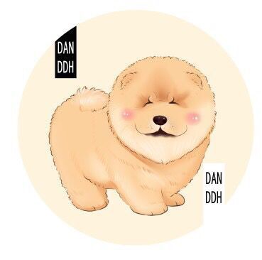 Pet dog mat