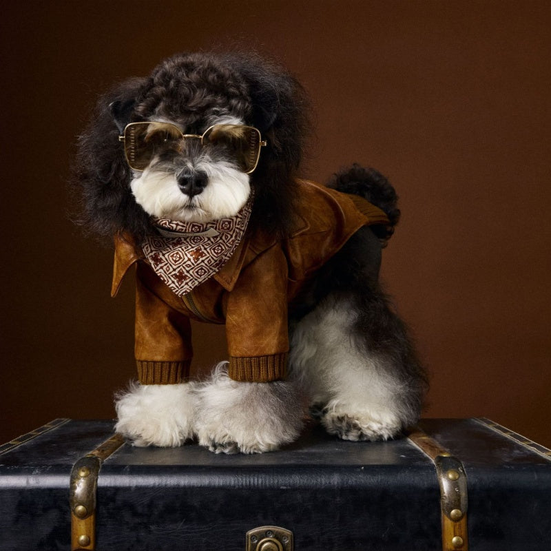 Schnauzer Bichon Handsome Retro Style Long Sleeve Two Feet Apparel Leather Coat - Pet Clothing