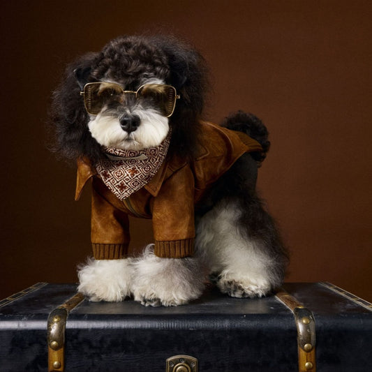 Schnauzer Bichon Handsome Retro Style Long Sleeve Two Feet Apparel Leather Coat - Pet Clothing