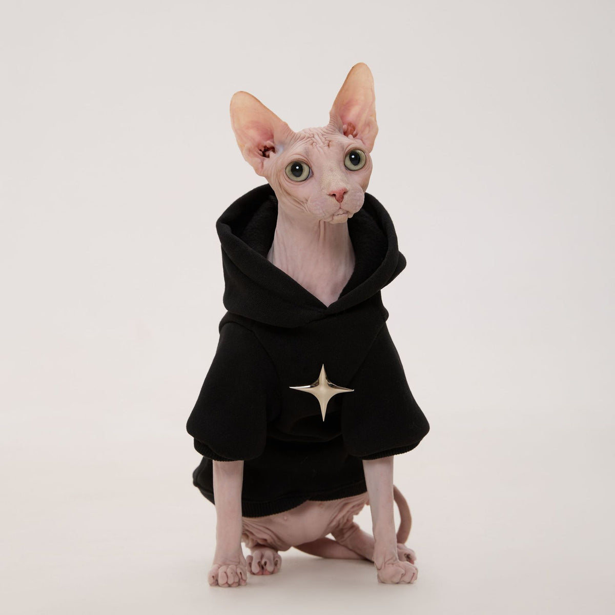 Pet Hoodie For Hairless Cats Devon Rex Kittens